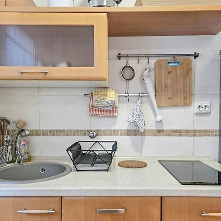 Apartments Maria Novigrad Istria Dış mekan fotoğraf