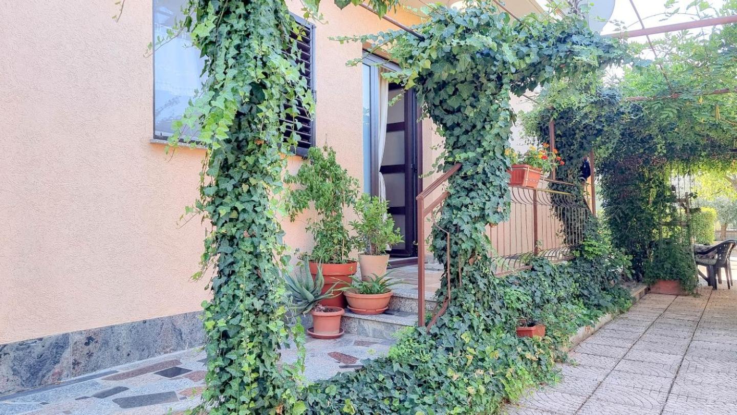 Apartments Maria Novigrad Istria Dış mekan fotoğraf